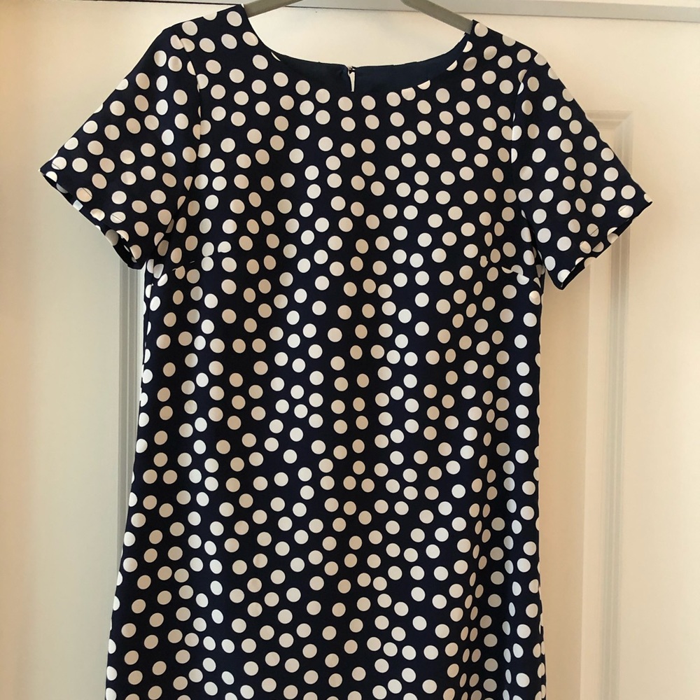 J Crew Polka Dot Shift Dress
